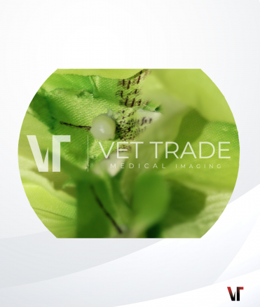 Fujifilm Enteroscope EN-450T5/W