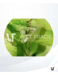 Fujifilm Gastroscope EG-580NW2 2