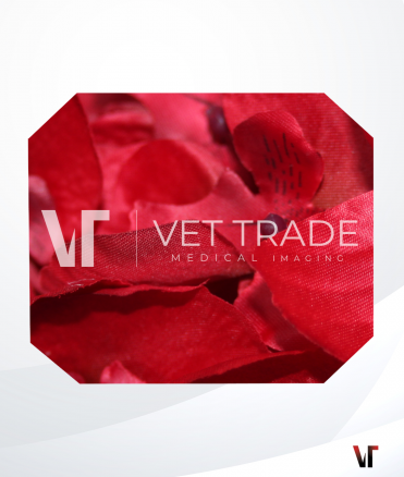 Pentax Colonoscope EC-3890LZi