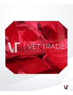 Pentax Duodenoscope ED34-i10T2 2