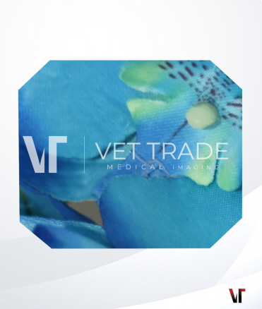 Olympus Colonoscope CF-1T100L