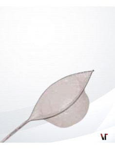 Olympus compatible Exboy...