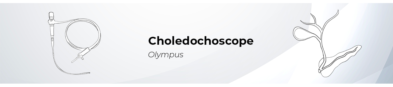 Choledochoscope | VET TRADE