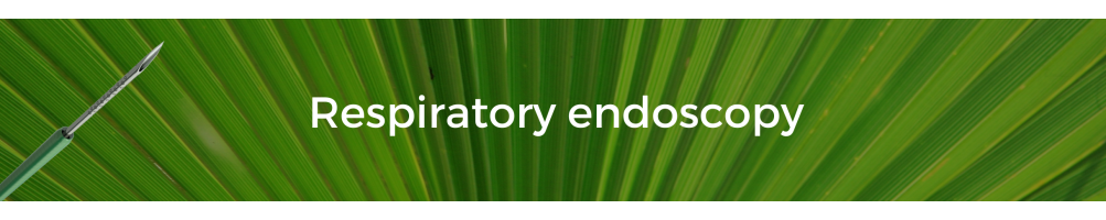 Respiratory endoscopy